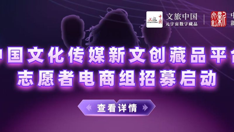 短视频拍摄报价单模板：参数设置与关键考量